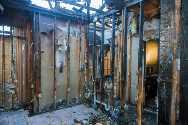 Professional Fire Damage Assessment technician working in Wilmer, TX